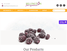 Tablet Screenshot of billingtonfoodingredients.com